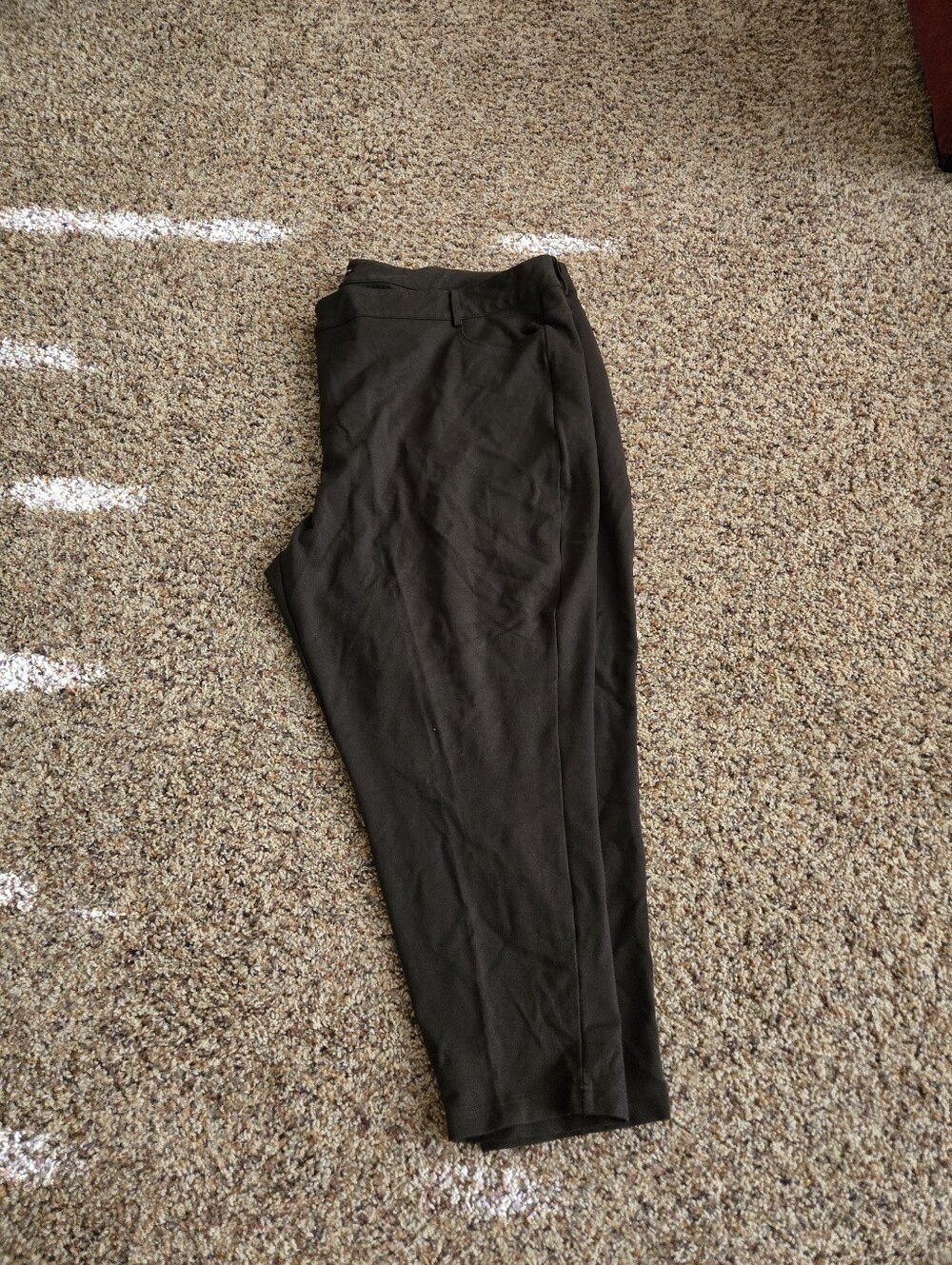Universal Standard Knit Dress Pants In Chocolate Brown Size 28